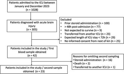 Glucocorticoid receptor response and glucocorticoid-induced leucine zipper expression in neutrophils of critically ill patients with traumatic and non-traumatic brain injury